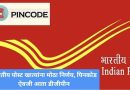 भारतीय पोस्ट खात्यांना मोठा निर्णय, पिनकोड ऐवजी आता डीजीपीन